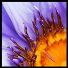 dailyPhoto5